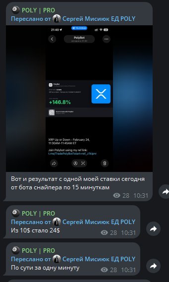 Отзыв Сергей Мисиюк +146.8%